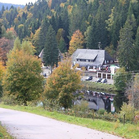 Klosterweiherhof Dachsberg im Schwarzwald Zewnętrze zdjęcie