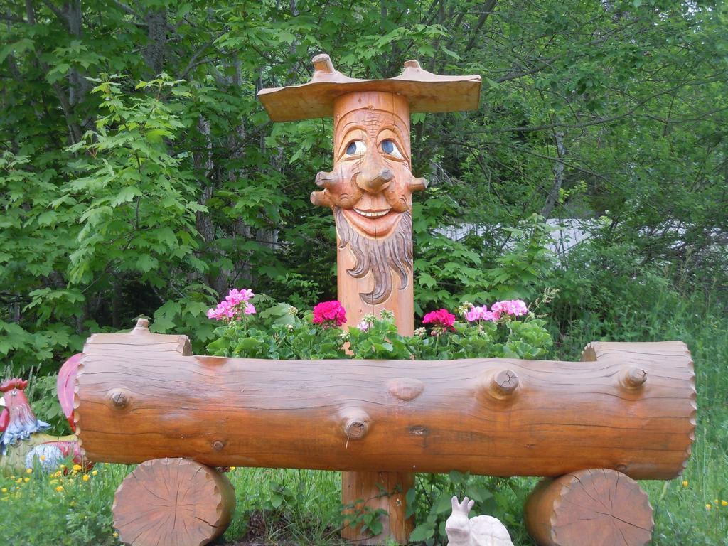Klosterweiherhof Dachsberg im Schwarzwald Zewnętrze zdjęcie