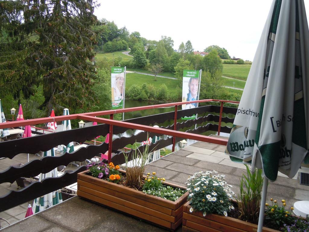 Klosterweiherhof Dachsberg im Schwarzwald Zewnętrze zdjęcie