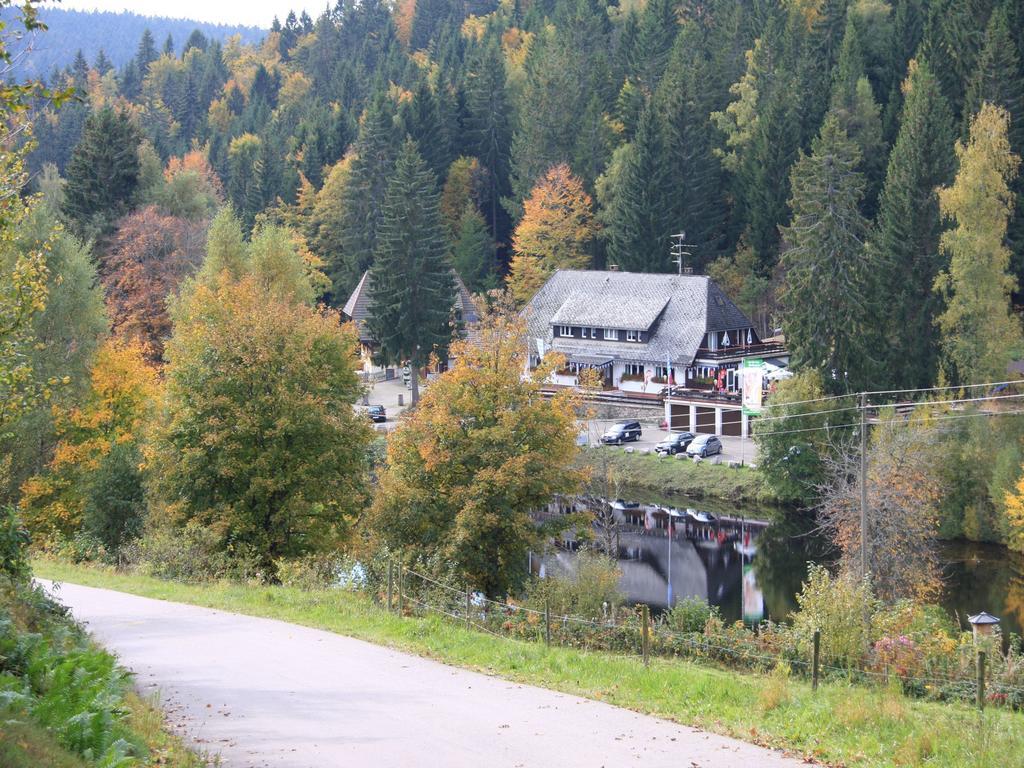 Klosterweiherhof Dachsberg im Schwarzwald Zewnętrze zdjęcie